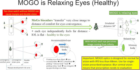 MoGo Travel v1.b. Black/Blue 2D VR Drones, 360 Degrees, Netflix VoD, AR Apps