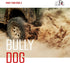 Bully Dog T-Slot Windshield Mount for GT and Watchdog Models