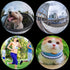 Fisheye Lens 235° Phone Camera Lens, Clip on Fish Eye Lens for iPhone 14/13/12/X/XR/Samsung Smartphone for Funny Photos