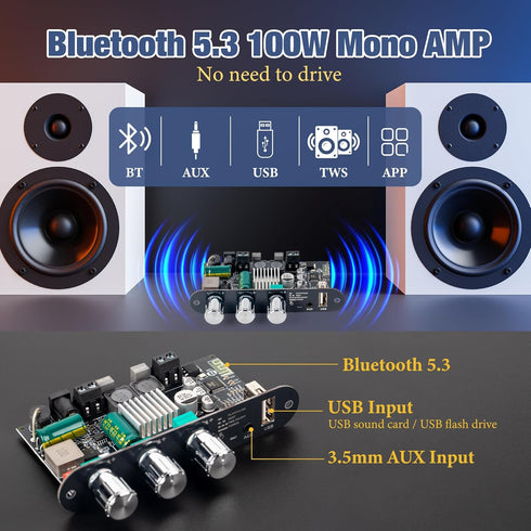 Qoroos 1PC ZK-1001U 100W 9-24V, Mono Amplifier Board with TWS, Mini Audio Amp with Boost Power Output, Vehicle