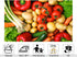 KeyWork 8x8ft Fresh Vegetables Backdrop Colorful Produce Wooden Table Photography Background for Healthy Themed Party