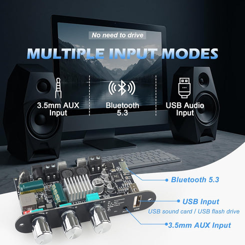 Wuzhi Audio ZK-1001U 100W 9-24V, Mono Amplifier Board with TWS, Power Output, Vehicle Amplifier Wide Voltage Input