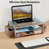 gianotter Desk Computer Monitor Stand Riser - Rose Gold Organizer with Drawer and 2 Pen Holders for Office Supplies