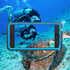 iPhone SE 2022/SE 2020/7/8 Case Waterproof Shockproof, Full Body Protective Case with Screen Protector (Blue/Clear)