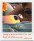 LONLI Hue iPhone 15 Pro Case - Iridescent, Shockproof, 10FT Drop Protection, Color Changing - Unique Cover for All
