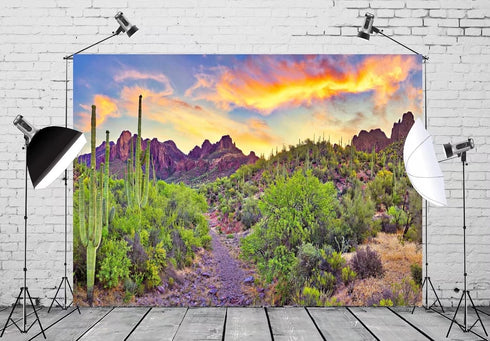BELECO 7x5ft Fabric National Park Arizona Desert Backdrop Fire-Like Sky Mountain Landscape Green Plants Saguaro Cactus Photography Background Western Themed Party Decor Video Photoshoot Studio Props
