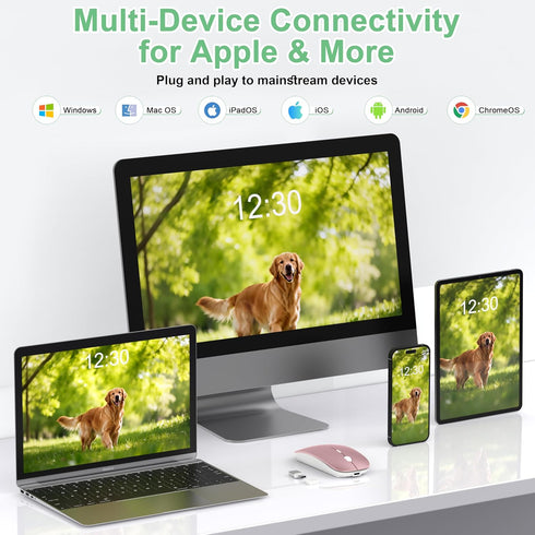 Gizdot 5.2/2.4G 3-Level Wireless Mouse for Laptop/MacBook Air/Pro & iPad, Mouse Jiggler Mode Bluetooth Rechargeable