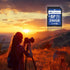 LinkMore 256GB SD Card, Compatible with Camera, PC, UHS-I, U3, V30, Class 10, Read Speed Up to 95 MB/s