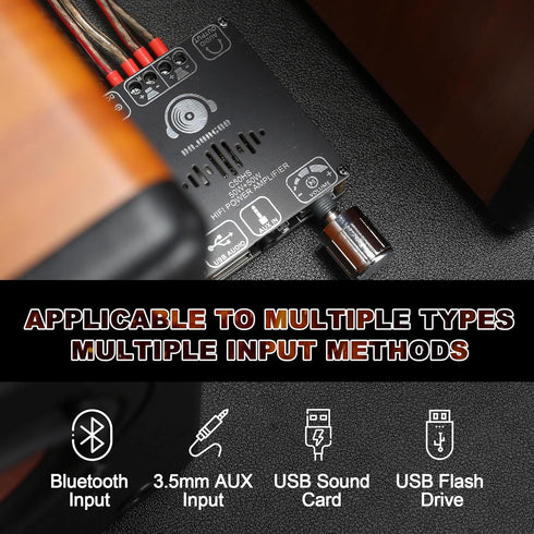 C50HS Bluetooth Amplifier Board TPA3116D2 HiFi Chip 12-24V DC Input, Multiple Input Modes (C50HS ONLY)