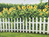Leyiyi 5x3ft Spring Natural Scenery Photography Backdrop with Yellow Sunflowers and White Wooden Fence