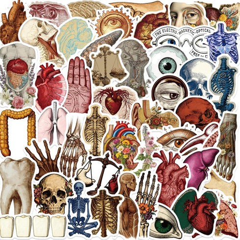 LOOAEFX 50PCS Vintage Anatomy Stickers - Medical Student Gift Pack, Biology Human Body