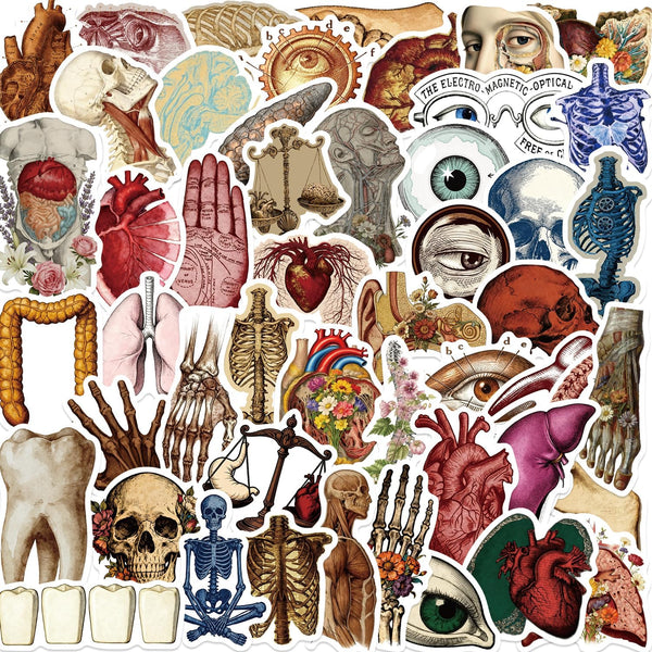 LOOAEFX 50PCS Vintage Anatomy Stickers - Medical Student Gift Pack, Biology Human Body