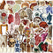 LOOAEFX 50PCS Vintage Anatomy Stickers - Medical Student Gift Pack, Biology Human Body