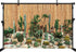MAEQLQLM 9x6ft Desert Cactus Garden Backdrop Variety Cacti Succulents Bamboo Fence Background for Nature Theme Party