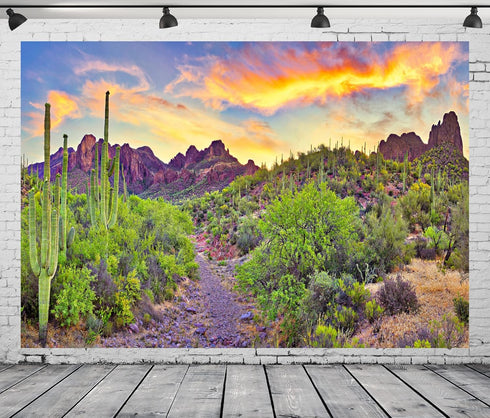 BELECO 7x5ft Arizona Desert Backdrop - Fire-Like Sky Mountain Landscape with Saguaro Cactus for Photography