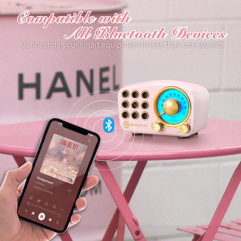 Greadio 5.0 MP3 Retro Bluetooth Speaker, Vintage Radio- FM Radio with Old Fashioned Classic Style, Strong Bass