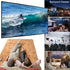 Yandood 16:9 4K (70 inch) Foldable Projector Screen with Stainless Steel Telescopic Rod Combination Frame HD
