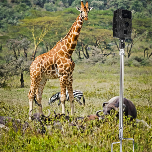 PellKing Universal Hunting & Trail Cameras Holder Stake, 1/4''-20 Ground Mount for Hunting Camera