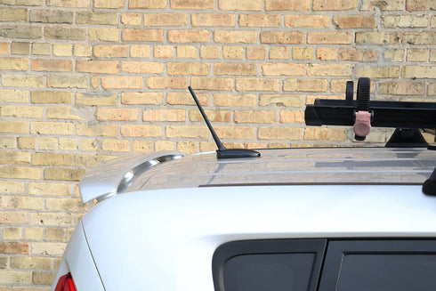 AntennaMastsRus 8 Inch (1998-2010) - Screw-On Antenna is Compatible with Volkswagen Beetle