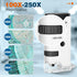100x-250x Mini Pocket Microscope for Kids Adults, Protable Handheld Microscope with 5 Microscope Slides, Phone Adapter, Miniscope Portable Microscope Kit for Kids Adults Science Lab Education,White