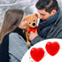 Civaner 4 Pack 60 Seconds Voice Recorder for Stuffed Animal Heart Red Push Button Heart Shaped Sound Recorder