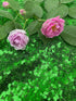 Green Sequin Backdrop Curtains - 4 Panels 2FTx8FT Glitter Green Photo Backdrop for Party Wedding Baby Shower
