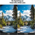 NEEWER 49mm CPL UV Lens Filter Kit, Circular Polarizer and UV Protection Filter Set with HD Optical Glass
