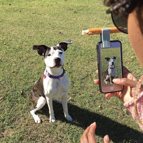 Model Citizen Pet, Inc. WOOFIE - The Pet Selfie & Portrait Tool (Slay Gray)